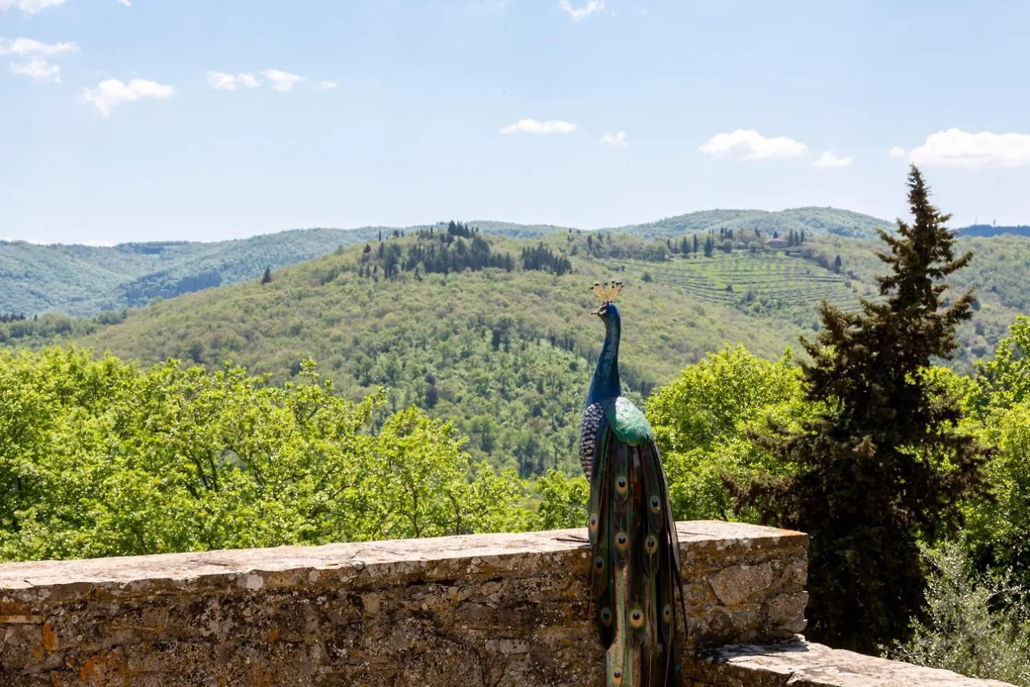 Casa Il Cipresso, In The Heart Of Chianti With Swimming Pool Villa Castellina in Chianti