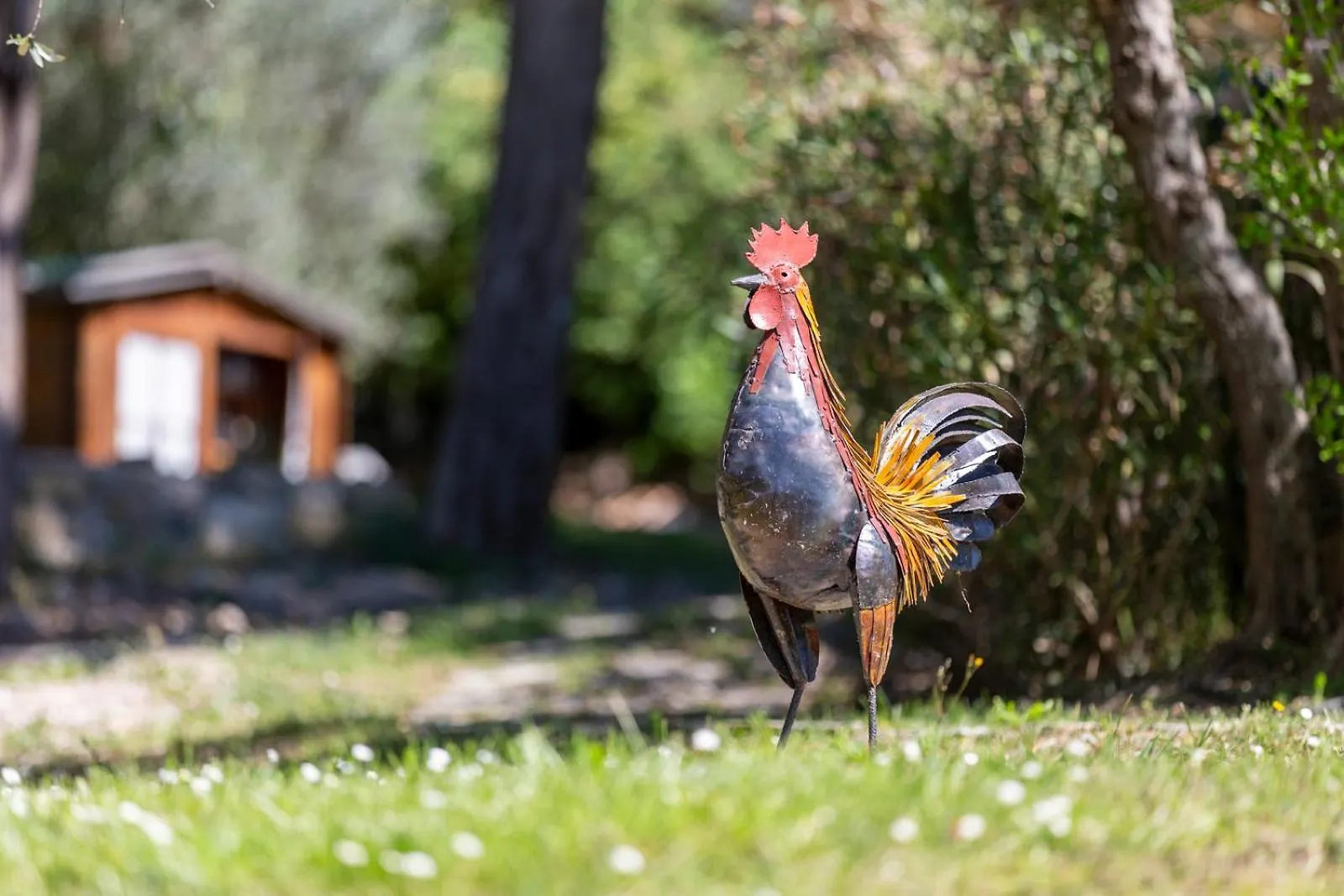 Casa Il Cipresso, In The Heart Of Chianti With Swimming Pool Villa Castellina in Chianti Tatil Evi